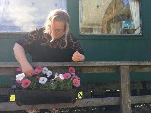 Sophie plockar med blommor