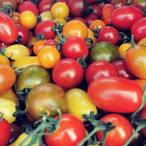 Karinstorps tomater